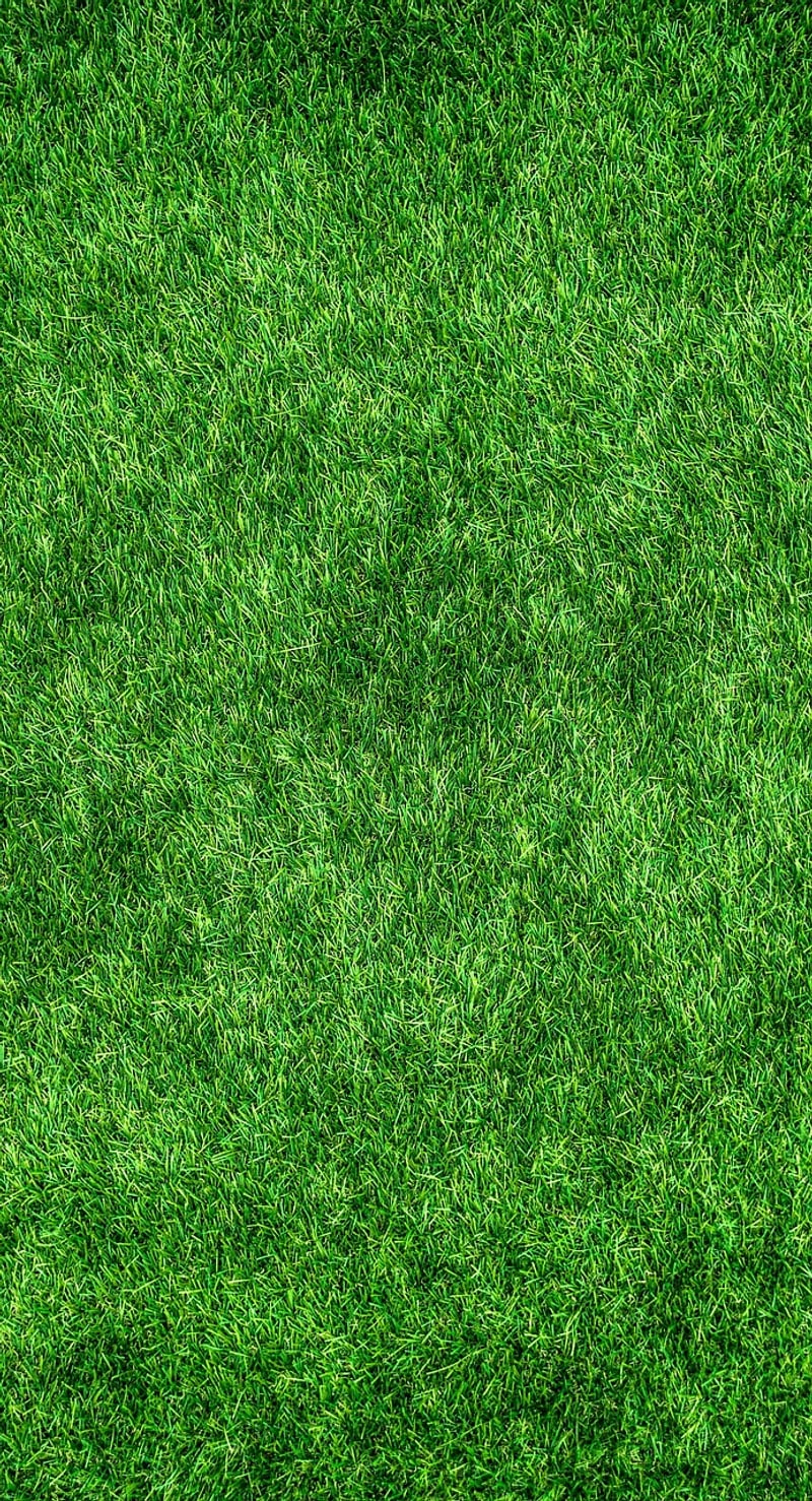 Biophilic Architecture