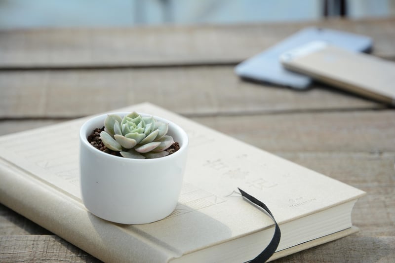 Small Space Gardening