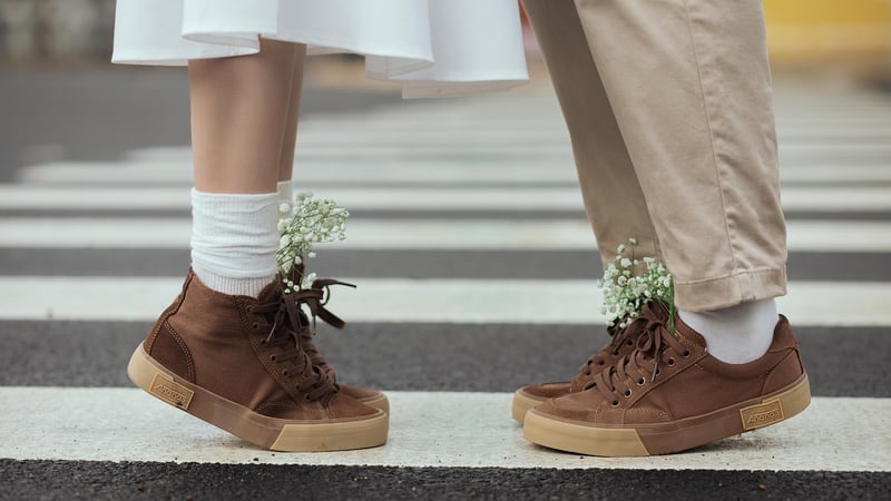 Shoe Organizer Planters